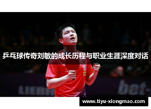 乒乓球传奇刘敏的成长历程与职业生涯深度对话