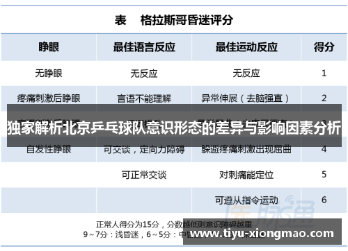 独家解析北京乒乓球队意识形态的差异与影响因素分析