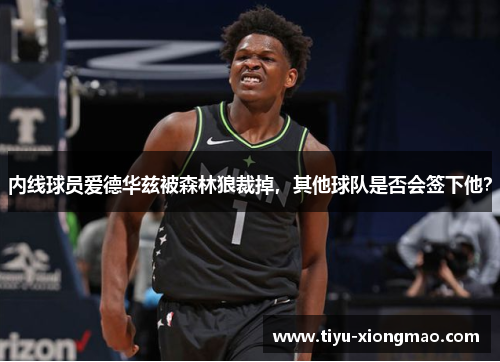 内线球员爱德华兹被森林狼裁掉，其他球队是否会签下他？