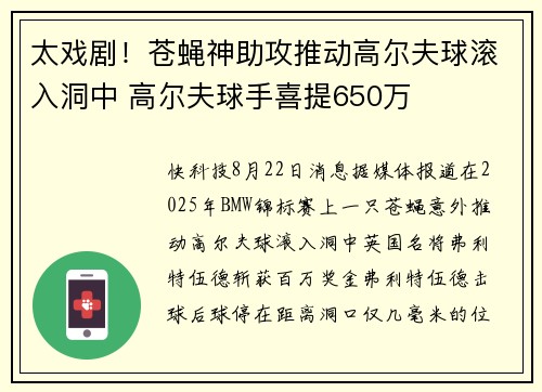 太戏剧！苍蝇神助攻推动高尔夫球滚入洞中 高尔夫球手喜提650万